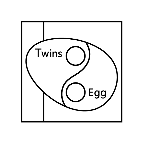 双子の卵
